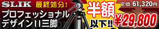 SLIK �ץ��ե��å���ʥ�ǥ�����II���Ӥ��ǽ���ʬĶ�ò����������