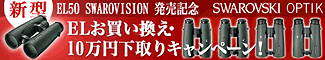 ������ե����� ����EL50 SWAROVISION ȯ�䵭ǰ��EL���㤤������10���߲���ꥭ���ڡ���