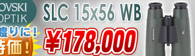 スワロフスキー SLC15x56WB 超特価178,000円!