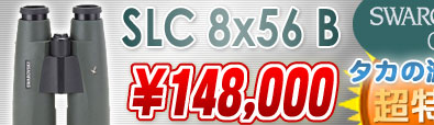 スワロフスキー SLC8x56B 超特価148,000円!