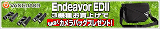 バンガード Endeavor EDII