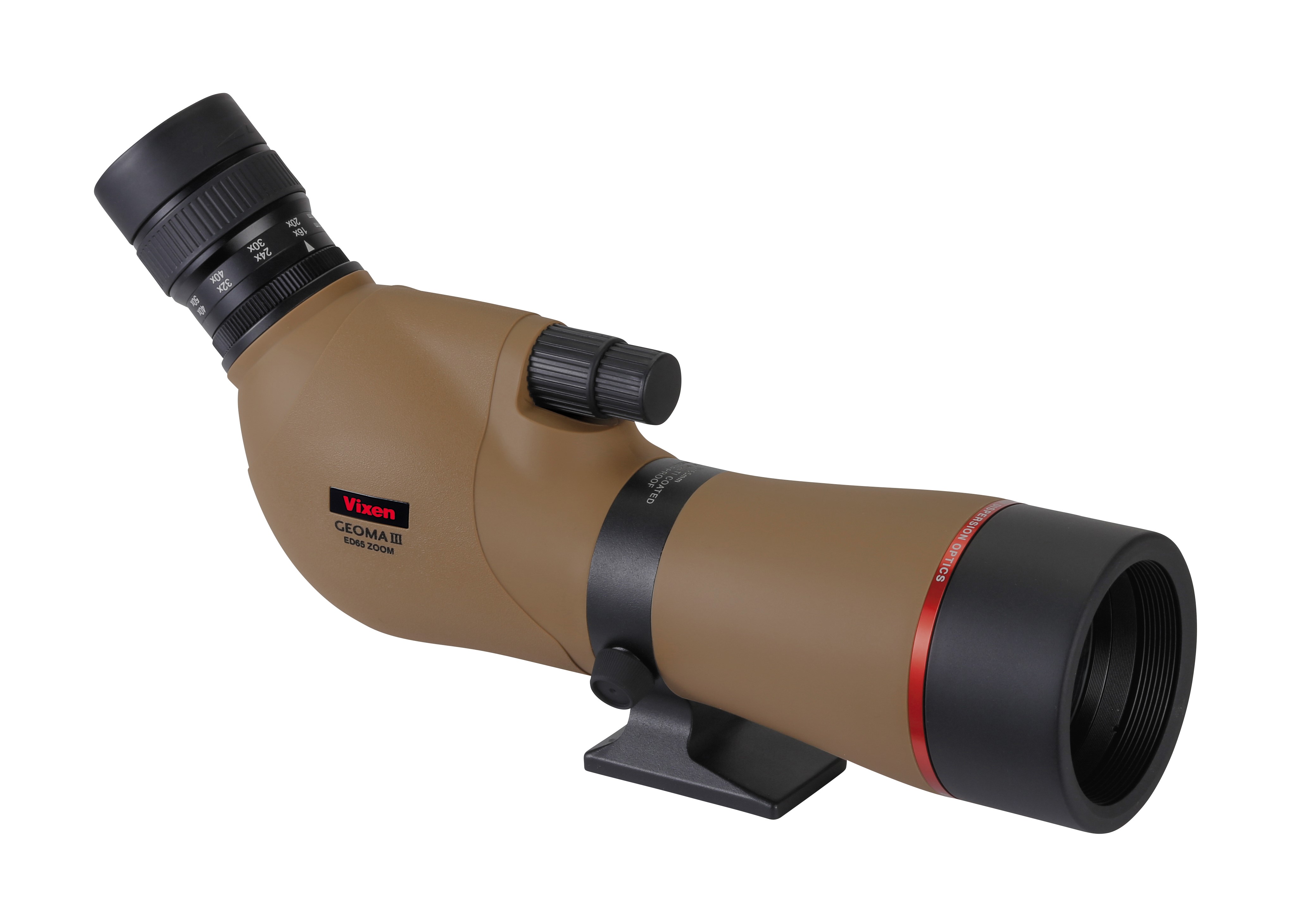 ビカクシダ セット Plants Goods – ハチラボ