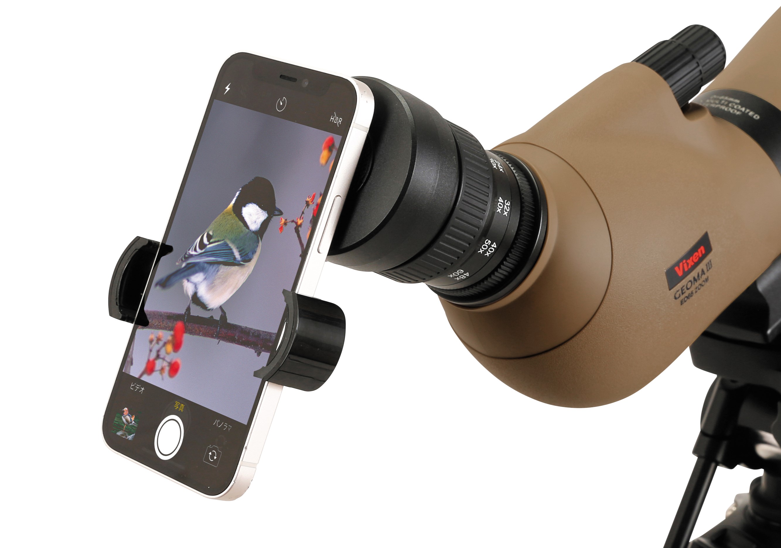 ビクセン ジオマIII ED65 ZOOM・三脚セット[18111]【7月10日発売