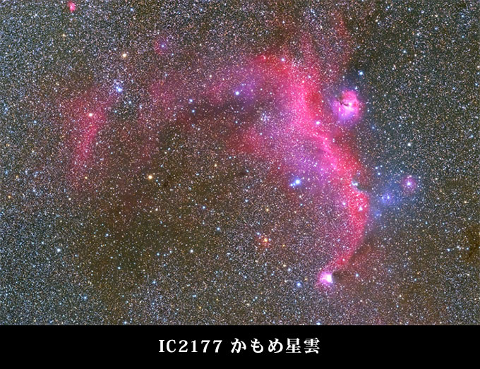 IC2177 かもめ星雲