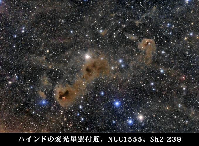 ハインドの変光星雲付近、NGC1555、Sh2-239