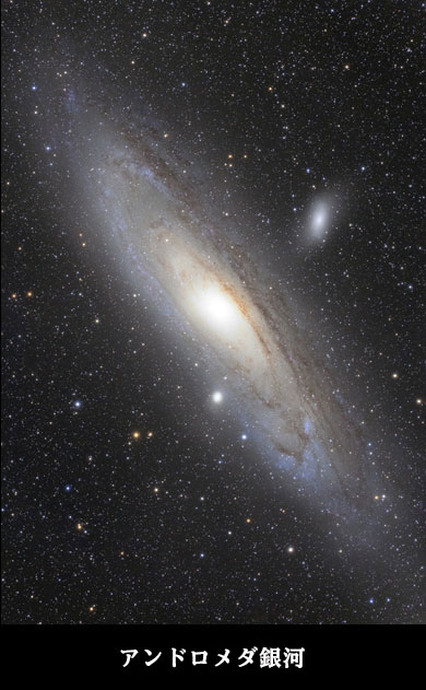 M31