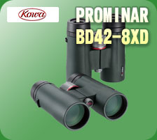 コーワ　BD42-8XD PROMINAR 