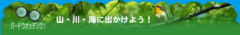 その2 バードウオッチング！　山・川・海に出かけよう！