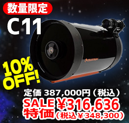 C11 数量限定10%OFF