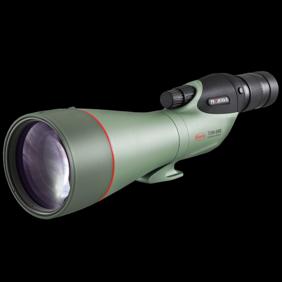 TSN-99S PROMINAR