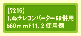 【7215】1.4xテレコンバーターGR併用560mmF11.2使用例