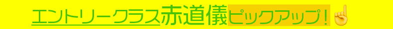 エントリークラスの赤道儀ピックアップ