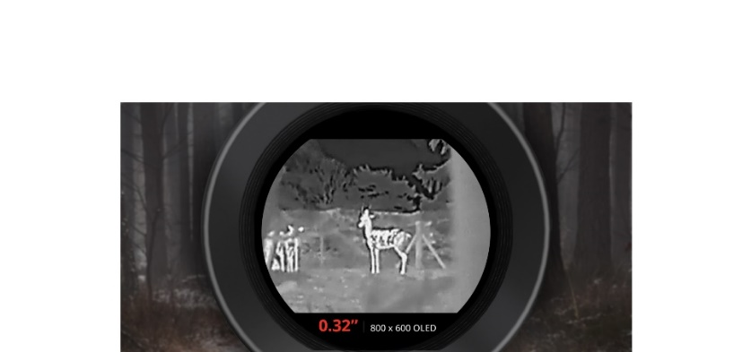 MS-01 DARK NIGHT 暗夜 MS-01 DARK NIGHT 暗夜