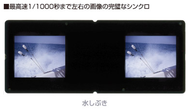 ホースマン 3D ステレオカメラ ネイチャーショップKYOEI