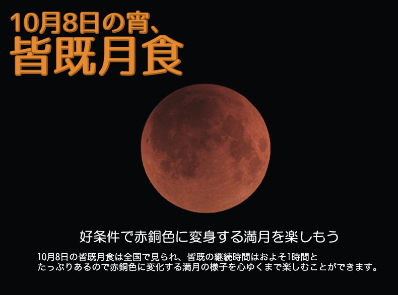 チャンスは11月から！