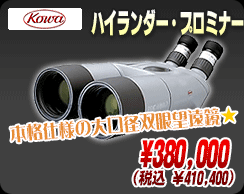 コーワ「ハイランダープロミナー」