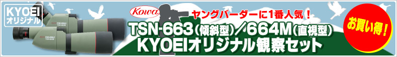 コーワ　TSN-663/664 KYOEIオリジナル観察セット