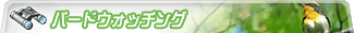 バードウォッチング オトク情報一覧