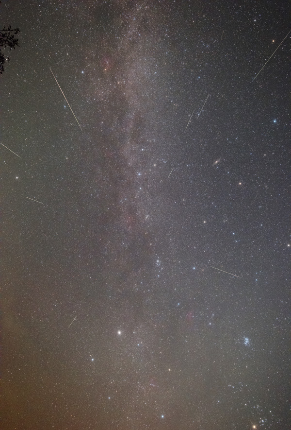 ペルセウス流星群 2016年