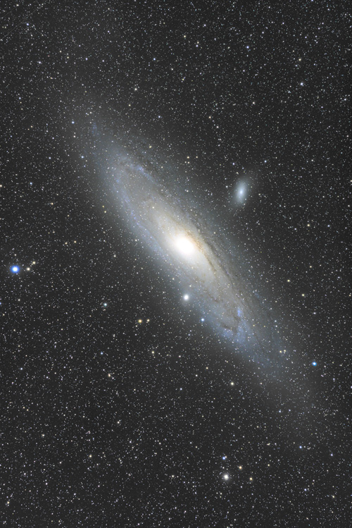 コーワ PROMINAR 500mm F5.6 FLのインプレッション 望遠鏡 コーワ PROMINAR 500mm F5.6 FLのインプレッション 望遠鏡