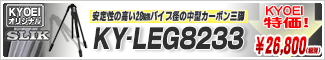 スリック　カーボンKY-LEG8233