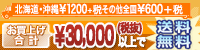 お買い上げ合計30,000円（税別）以上で送料無料！！