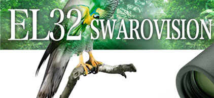 EL32 SWAROVISION 8x32/10x32