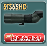STS65HD