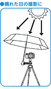 ●晴れた日の撮影に